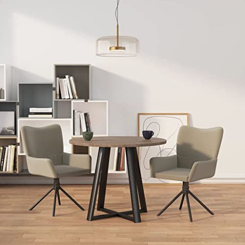 HANJIEFACAI Esszimmerstühle 2 STK. Drehbar Hellgrau Samt Stuhl Wohnzimmer Esszimmerstühle Balkonstuhl Stuhl Schminktisch für Küche Balkon Park Garten von HANJIEFACAI