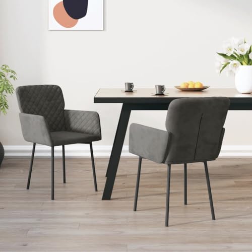 HANJIEFACAI Esszimmerstühle 2 STK. Dunkelgrau Samt Wartezimmer Stühle Esszimmerstühle Balkonstuhl Esstisch Stühle für Balkon Restaurant Park Wohnzimmer von HANJIEFACAI