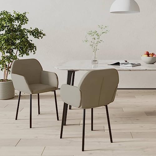 HANJIEFACAI Esszimmerstühle 2 STK. Hellgrau Samt Küchenstühle Modern Esszimmerstühle Schminktisch Stuhl Stuhl Für Schminktisch für Wohnzimmer Küche Balkon Garten von HANJIEFACAI