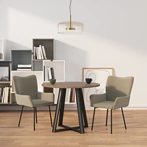 HANJIEFACAI Esszimmerstühle 2 STK. Hellgrau Samt Stuhl Für Schminktisch Esszimmerstühle Dining Chair Lounge Sessel für Restaurant Garten Wohnzimmer Balkon von HANJIEFACAI