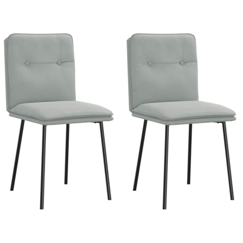 HANJIEFACAI Esszimmerstühle 2 STK. Hellgrau Samt Stuhl Für Schminktisch Esszimmerstühle Dining Chair Lounge Sessel für Wohnzimmer Balkon Park Restaurant von HANJIEFACAI