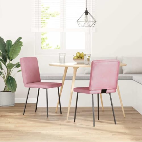 HANJIEFACAI Esszimmerstühle 2 STK. Rosa Samt Living Room Chairs Gartenstühle Balkonstuhl Stuhl Schminktisch für Restaurant Balkon Wohnzimmer Garten von HANJIEFACAI