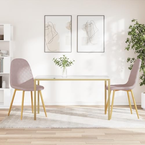 HANJIEFACAI Esszimmerstühle 2 STK. Rosa Samt Living Room Chairs Gartenstühle Schminktisch Stuhl Dining Chair für Garten Wohnzimmer Küche Restaurant von HANJIEFACAI
