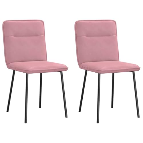 HANJIEFACAI Esszimmerstühle 2 STK. Rosa Samt Wartezimmer Stühle Gartenstühle Balkonstuhl Schminkstuhl für Park Restaurant Wohnzimmer Balkon von HANJIEFACAI