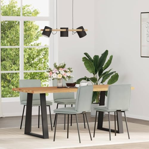 HANJIEFACAI Esszimmerstühle 4 STK. Hellgrau Samt Küchenstühle Modern Esszimmerstühle Schminktisch Stuhl Stuhl Für Schminktisch für Garten Restaurant Balkon Wohnzimmer von HANJIEFACAI