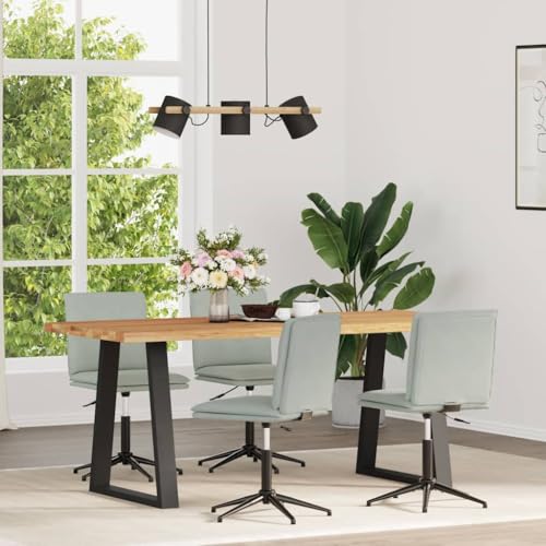 HANJIEFACAI Esszimmerstühle 4 STK. Hellgrau Samt Stuhl Wohnzimmer Gartenstühle Balkonstuhl Dining Chair für Garten Küche Wohnzimmer Park von HANJIEFACAI