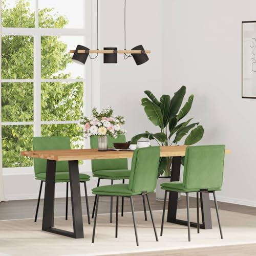 HANJIEFACAI Esszimmerstühle 4 STK. Hellgrün Samt Küchenstühle Modern Esszimmerstühle Schminktisch Stuhl Stuhl Für Schminktisch für Garten Restaurant Balkon Wohnzimmer von HANJIEFACAI