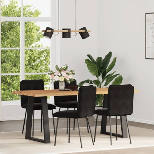HANJIEFACAI Esszimmerstühle 4 STK. Schwarz Samt Stuhl Für Schminktisch Esszimmerstühle Dining Chair Lounge Sessel für Wohnzimmer Balkon Park Restaurant von HANJIEFACAI