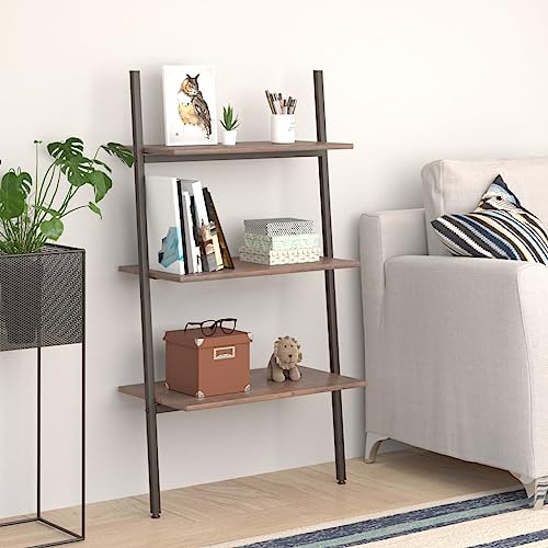 HANJIEFACAI Leiterregal mit 3 Böden Dunkelbraun und Schwarz 64x34x116 cm Book Shelves Cabinet Shelf Organizer Display Cabinet für Balkon Wohnzimmer Arbeitszimmer Flur HANJIEFACAI Leiterregal mit 3 Böden Dunkelbraun und Schwarz 64x34x116 cm Book Shelves Cabinet Shelf Organizer Display Cabinet für Balkon Wohnzimmer Arbeitszimmer Flur von HANJIEFACAI