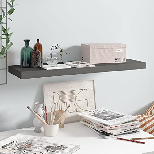 HANJIEFACAI Schweberegal Hochglanz-Grau 80x23,5x3,8 cm MDF Floating Shelf Modern Home Decor for Living Room Bedroom Office Display Books Awards Decorations von HANJIEFACAI