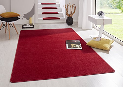 Hanse Home Indoor Teppich Fancy – Wohnzimmerteppich einfarbig Modern Velours Teppich für Esszimmer, Wohnzimmer, Kinderzimmer, Flur, Schlafzimmer, Küche – Rot, 200x280cm von Hanse Home