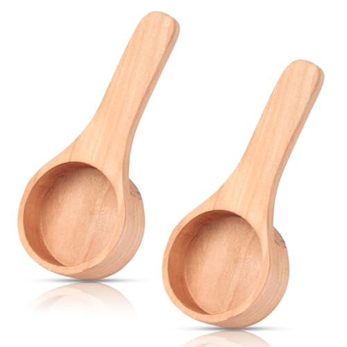 HANSGO 2 x Kaffeelöffel, 10,2 cm, Holzlöffel, Messschaufel für Küchenutensilien, gemahlene Bohnen und Tee von HANSGO