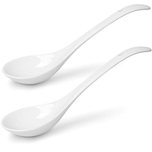 HANSGO Große Keramik-Suppenlöffel, 22,9 cm, Weiß/Opulenter Garten, 2 Stück von HANSGO
