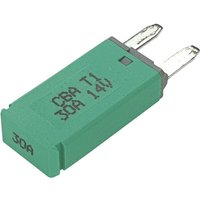 Hansor - CBA1-3014 Sicherungsautomat Standard Flachsicherung 30 a Grün 1 St. Hansor - CBA1-3014 Sicherungsautomat Standard Flachsicherung 30 a Grün 1 St. von HANSOR