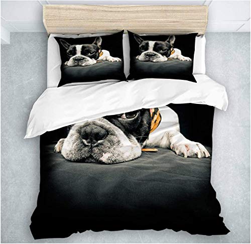 HANTAODG Bettbezug Set Bettwäsche-Set Französische Bulldogge 135x200cm 3 Teilig mit 2 Kissenbezug Mikrofaser Polyester Hypoallergen Bequem Weich Haltbar Atmungsaktive Reißverschluss HANTAODG Bettbezug Set Bettwäsche-Set Französische Bulldogge 135x200cm 3 Teilig mit 2 Kissenbezug Mikrofaser Polyester Hypoallergen Bequem Weich Haltbar Atmungsaktive Reißverschluss von HANTAODG