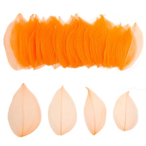 HAOBIN 50 StüCk KüNstliche BläTter Deko KunstbläTter Deko Leaves BläTter Girlande Basteln Trockene BläTter Getrocknete BläTter Verwendet FüR DIY Handwerk Scrapbook Handwerk Kartenherstellung (Orange) HAOBIN 50 StüCk KüNstliche BläTter Deko KunstbläTter Deko Leaves BläTter Girlande Basteln Trockene BläTter Getrocknete BläTter Verwendet FüR DIY Handwerk Scrapbook Handwerk Kartenherstellung (Orange) von HAOBIN