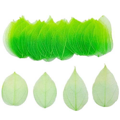 50 StüCk KüNstliche BläTter Deko KunstbläTter Deko Fake Leaves BläTter Girlande Basteln Trockene BläTter Getrocknete BläTter Verwendet FüR Diy Handwerk Scrapbook Kartenherstellung (Farbverlauf grün) von HAOBIN