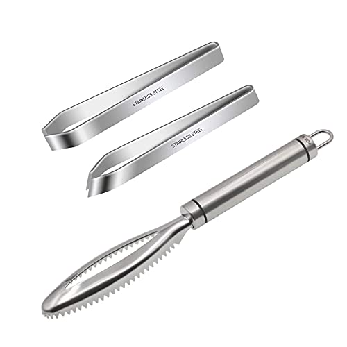 HAOBIN Fisch Scaler Fischentschupper FischgräTen-Entferner FischgräTen-Clip Professionelle Edelstahlpinzette Rofessionelle Fischschuppenmaschine Fischschaber,Flache Und SchräGe Knochenklemme,3 Pcs von HAOBIN