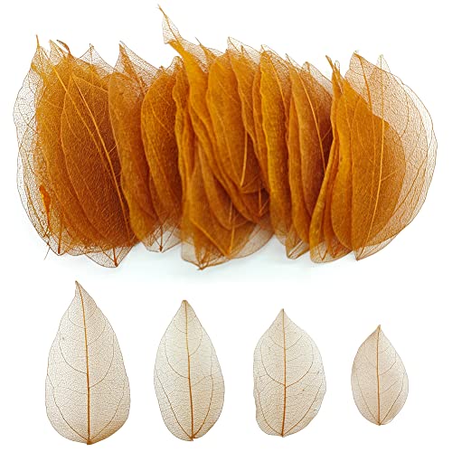 HAOBIN 100 StüCk KüNstliche BläTter Deko KunstbläTter Deko Fake Leaves BläTter Girlande Basteln Trockene BläTter Getrocknete BläTter Verwendet FüR DIY Handwerk Scrapbook Kartenherstellung (braun C) HAOBIN 100 StüCk KüNstliche BläTter Deko KunstbläTter Deko Fake Leaves BläTter Girlande Basteln Trockene BläTter Getrocknete BläTter Verwendet FüR DIY Handwerk Scrapbook Kartenherstellung (braun C) von HAOBIN