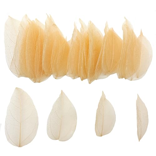 HAOBIN 50 StüCk KüNstliche BläTter Deko KunstbläTter Deko Fake Leaves BläTter Girlande Basteln Trockene BläTter Getrocknete BläTter Verwendet FüR DIY Handwerk Scrapbook Kartenherstellung (braun A) von HAOBIN