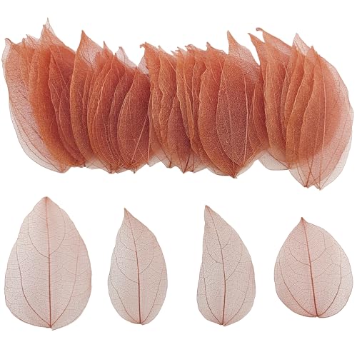HAOBIN 50 StüCk KüNstliche BläTter Deko KunstbläTter Deko Fake Leaves BläTter Girlande Basteln Trockene BläTter Getrocknete BläTter Verwendet FüR DIY Handwerk Scrapbook Kartenherstellung (braun B) von HAOBIN