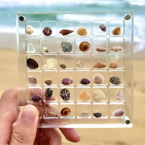 HAOBIN Muschel Aufbewahrungsbox Acrylic Magnetic Seashell Display Box Muschel Sammelbox Seashell Display Box Seashell Storage Box Acrylbox FüR Muscheln,Strasssteine,Schmuck Und Kristalle (A) von HAOBIN