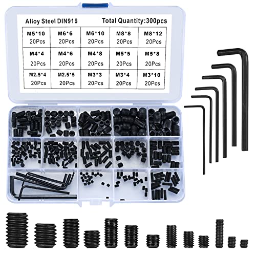 300 Stück Madenschrauben, Einschraubmuffen Schrauben Sortiment Kit, M2.5/M3/M4/M5/M6/M8 Sechskantschrauben Alloy Kohlenstoffstahl mit Inbusschlüssel - Schwarz von HAOCHEN