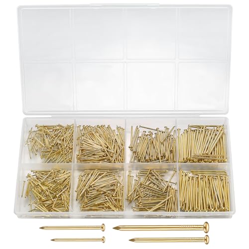 720 Stück Nägel Wand, Flachkopfnägel, Bilder Nägel Aufhängen, Wandnägel, Hardware Nagel Sortiment Set zum Bilderrahmen, Holzbearbeitung, Bilderrahmenspiegeln Nägel (Gold) von HAOCHEN