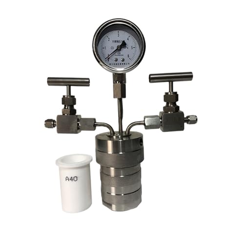 1 Stück 50 ml/100 ml Hochdruck-Hydrierungsreaktor – Laborgeräte for die hydrothermale Synthese aus Edelstahl(50mL) von HAOJZE