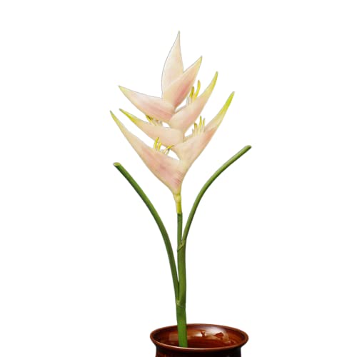 Großer Paradiesvogel, Heliconia-Stiel, künstliche Blumen, 1 Stiel, 7 Blütenblätter, dauerhafte Blume, grüne Pflanzen, für drinnen und draußen, Girlande, Zuhause, Garten, Büro, Hochzeitsdekoration von HAOSHICS