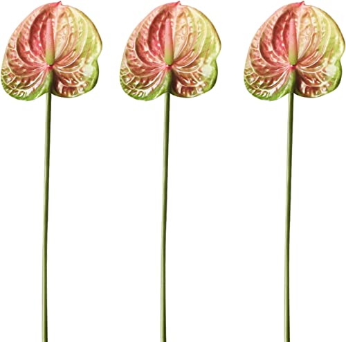 HAOSHICS Künstliche Anthurium-Lilien, permanente Blume, 3 Stück, tropische Imitation, Blumensträuße für Tischdekoration, Braut, Hochzeit, Festival, Dekoration (B) von HAOSHICS