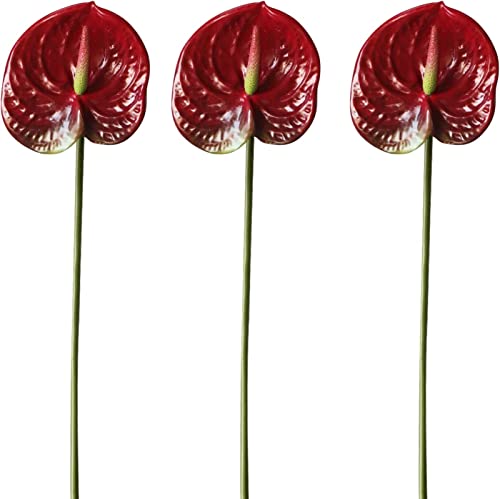 HAOSHICS Künstliche Anthurium-Lilien, permanente Blume, 3 Stück, tropische Imitation, Blumensträuße für Tischdekoration, Braut, Hochzeit, Festival, Dekoration (D) von HAOSHICS