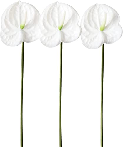 HAOSHICS Künstliche Anthurium-Lilien, permanente Blume, 3 Stück, tropische Imitation, Blumensträuße für Tischdekoration, Braut, Hochzeit, Festival, Dekoration (E) von HAOSHICS