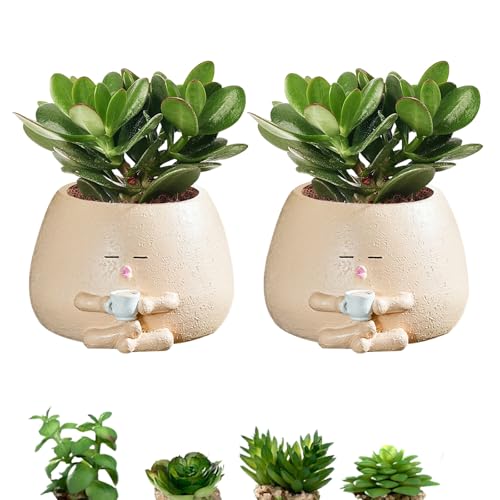 2Pcs Cute Planter Töpfe mit Drainage-Loch, kleine Harz Sukkulenten Blumentöpfe Indoor Outdoor, dekorative Heilung Kaktus Töpfe, Schreibtisch Pflanze Stand Geschenk für Haus Garten Büro (Stil2) von HAOTIAN-X