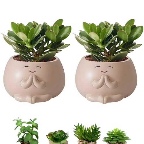 2Pcs Cute Planter Töpfe mit Drainage-Loch, kleine Harz Sukkulenten Blumentöpfe Indoor Outdoor, dekorative Heilung Kaktus Töpfe, Schreibtisch Pflanze Stand Geschenk für Haus Garten Büro von HAOTIAN-X