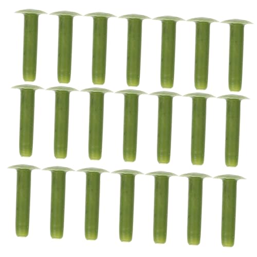 HAPINARY 100 Stück Kunststoff-blumenstangennägel Blumennägel Für Blumenarrangement Blumenzubehör Für DIY von HAPINARY