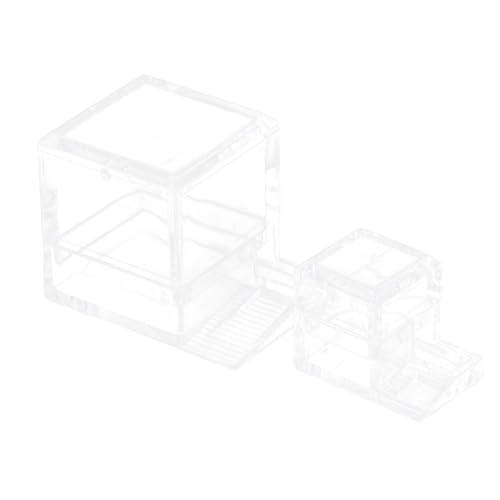 HAPINARY 2Stücke Transparente Ameisenfütterungsboxen Sichtbarer Futterbehälter für Ameisen Wassertränke und Futterspender für Ameisenfarm und Ameisennest Zubehör für Ameisenhaltung von HAPINARY
