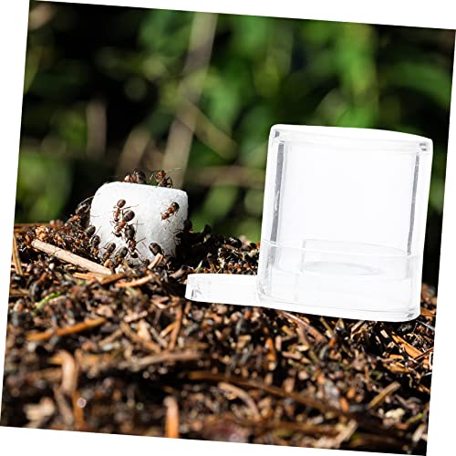 HAPINARY 2Stücke Transparente Ameisen Fütterungsbox aus Wassereinzug für Sichere und Langlebige Fütterung von Ameisen Design zur Überwachung HAPINARY 2Stücke Transparente Ameisen Fütterungsbox aus Wassereinzug für Sichere und Langlebige Fütterung von Ameisen Design zur Überwachung von HAPINARY