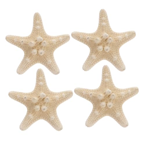 HAPINARY 4 Natur Seesterne Deko Strand Accessoires Muscheln Wohnkultur Echte Wohnaccessoires von HAPINARY