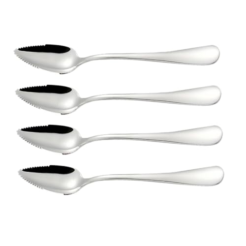 HAPINARY 4 Stück Edelstahl Löffel Set mit Gezackter Kante zum Einfachen Fruchtpüree Schaben Sichere Abgerundete Ecken Langlebig und frei für Obstbrei und Babynahrung Zuhause von HAPINARY