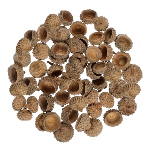 HAPINARY 50 Stück Natürliche Eichelschalen Deko Basteln Set Umweltfreundliche Getrocknete Kappen für Herbstparty Weihnachtsdeko DIY Bastelmaterial Haltbar für Hochzeit und Festliche von HAPINARY