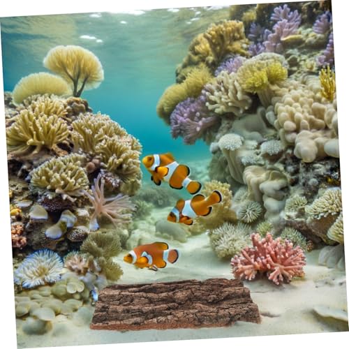 HAPINARY Haustier -Fütterungshintergrund Hintergrund aus Korkrinde Hintergrund für Reptiliengehäuse aus Korkfliesen Zubehör für Reptilienterrarien dekorative Baumrinde Kaffee von HAPINARY