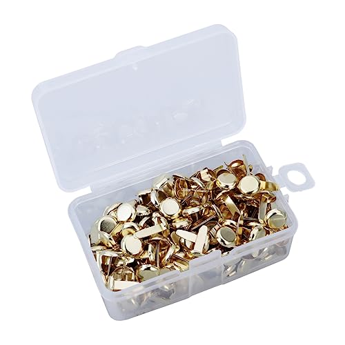 HAPINARY 200Stücke Metall Brads Papierklammern Gold in Aufbewahrungsbox für Basteln und Scrapbooking Rostfrei für Büro und Handwerksprojekte HAPINARY 200Stücke Metall Brads Papierklammern Gold in Aufbewahrungsbox für Basteln und Scrapbooking Rostfrei für Büro und Handwerksprojekte von HAPINARY