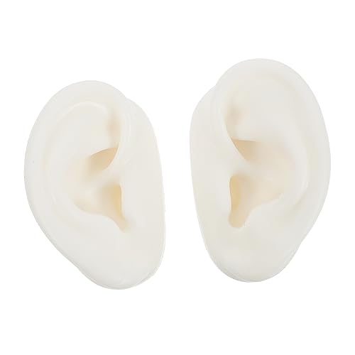 HAPINARY Silikon Ohrmodell Gefälschtes Modell Zur Anzeige Von Ohrsteckern Mit Innenstruktur Für Lernen Und Training HAPINARY Silikon Ohrmodell Gefälschtes Modell Zur Anzeige Von Ohrsteckern Mit Innenstruktur Für Lernen Und Training von HAPINARY