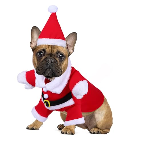 HAPINARY Weihnachtliches Hundekostüm XL Warmes Santa Claus Outfit mit Rotem Mantel und Hut Weicher Baumwollstoff Für Kalte Wintertage Hunde Weihnachtskleidung Party Kostüm HAPINARY Weihnachtliches Hundekostüm XL Warmes Santa Claus Outfit mit Rotem Mantel und Hut Weicher Baumwollstoff Für Kalte Wintertage Hunde Weihnachtskleidung Party Kostüm von HAPINARY