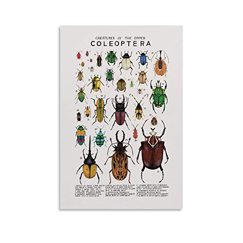 Insekten-Exemplare Poster Käfer Poster Dekorative Malerei Leinwand Wandposter und Kunstdruck Moderne Familie Schlafzimmer Dekor Poster 50 x 75 cm von HAPPOW