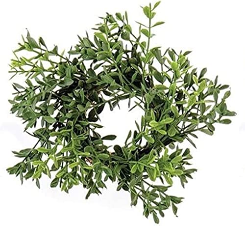Buchsbaum-Kerzenring, 5,1 cm Mitte, grüner Kranz, 15,2 cm von HAPPY DEALS ~