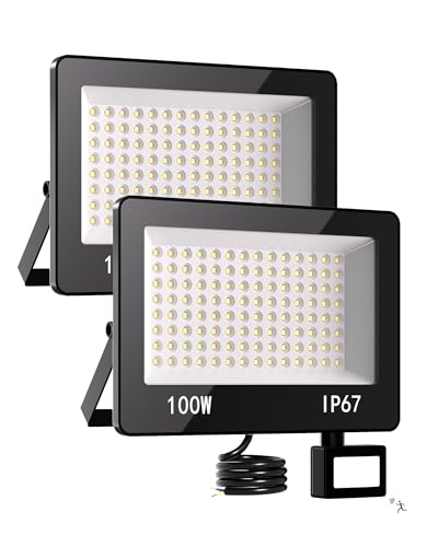 HAPYLUMI LED Strahler 100W mit Bewegungsmelder, 2 Stück 10000LM Superhell Außenstrahler 6500K Kaltweiß, IP67 Wasserdicht LED Scheinwerfer Fluter für Garten, Innenhöfe, Garage, Fahrbahn von HAPYLUMI