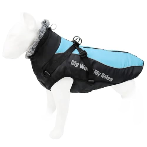 Mit Reißverschluss Im Freien Im Freien Reflektierende Hundsicherheitsjacke Schneebedeckter Und Wasserdichtes Labrador Bulldog Greyhound Bulldog,Blau,4XL Mit Reißverschluss Im Freien Im Freien Reflektierende Hundsicherheitsjacke Schneebedeckter Und Wasserdichtes Labrador Bulldog Greyhound Bulldog,Blau,4XL von HAQEPO