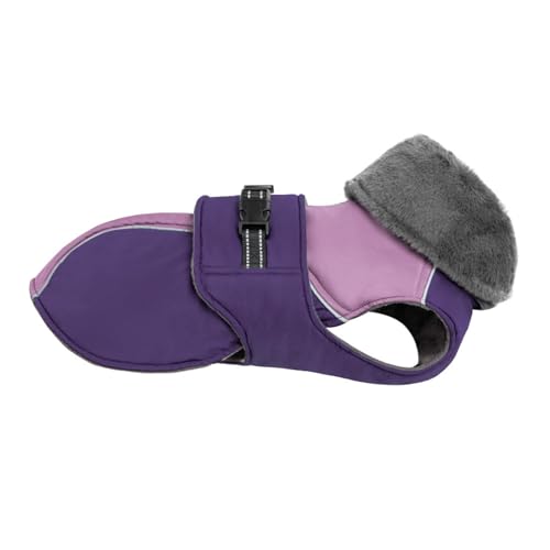 Reflektierende Pelzkragen Winter Fleece Warm Labrador Bulldog Greyhound Golden Retriever Hochkragen Jacke Mantel,Lila,S von HAQEPO